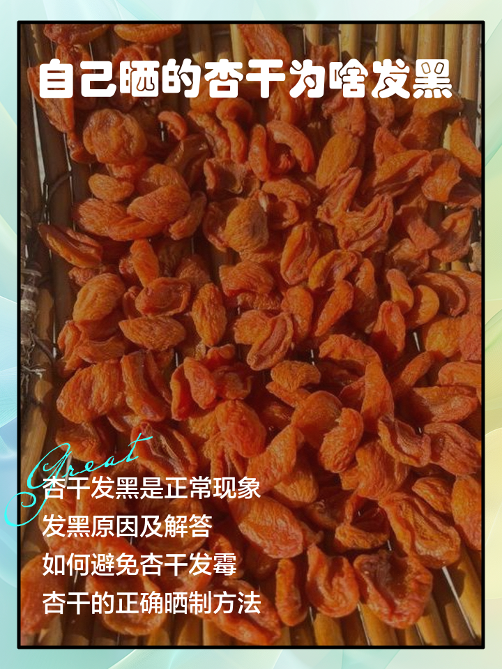 自己晒的杏干为啥发黑