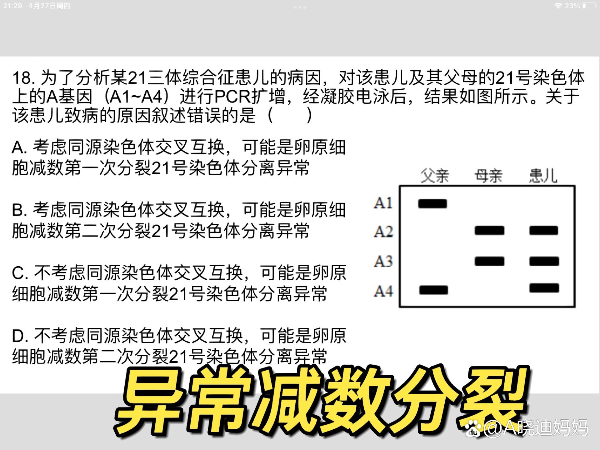 21三体|减数分裂|电泳|高中生物