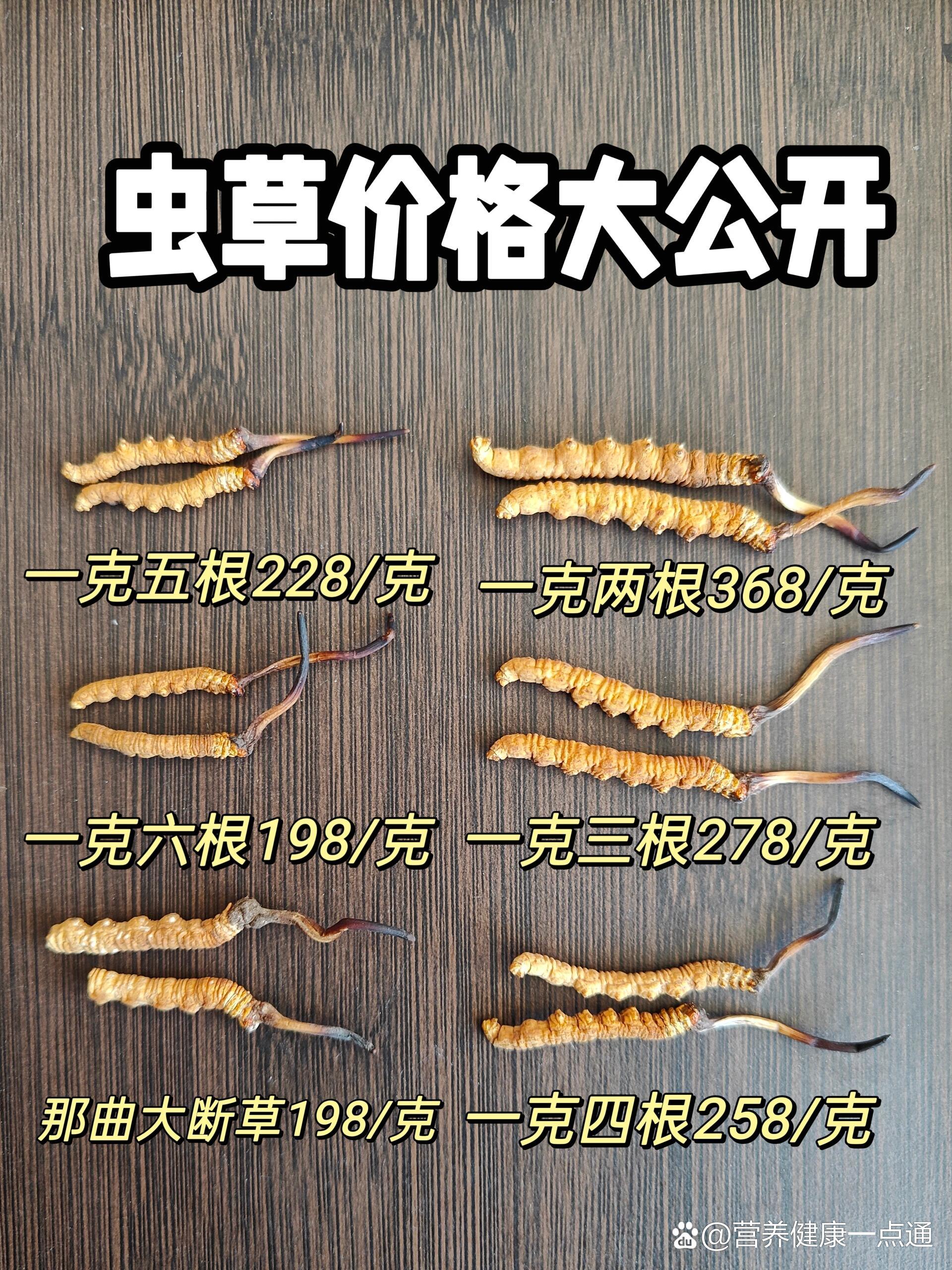 虫草多少钱一条 全网资源