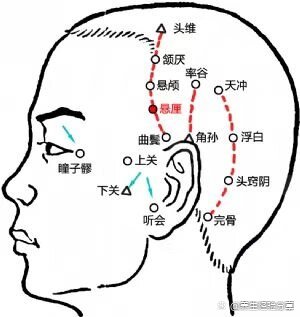 悬厘的准确位置图图片