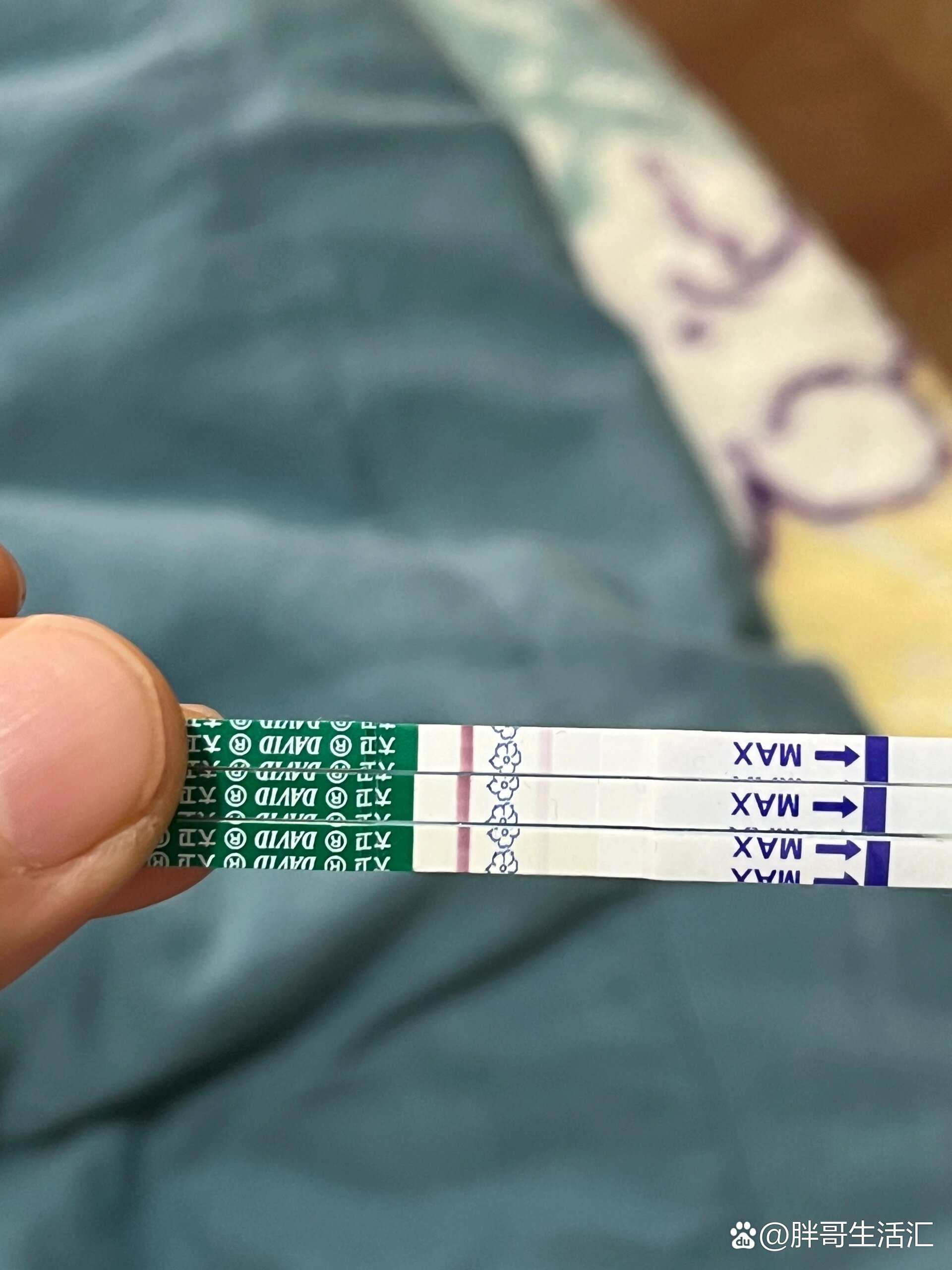 鲜胚移植成功率高吗_鲜胚移植成功率高吗孕妇