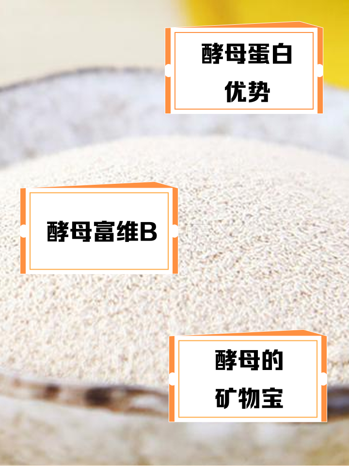 酵母的成分有哪些