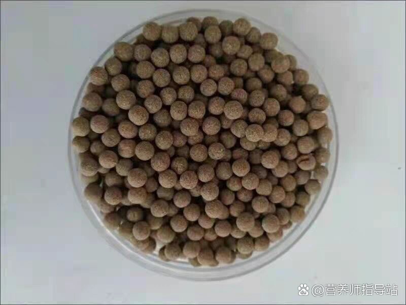 中药水丸,水蜜丸