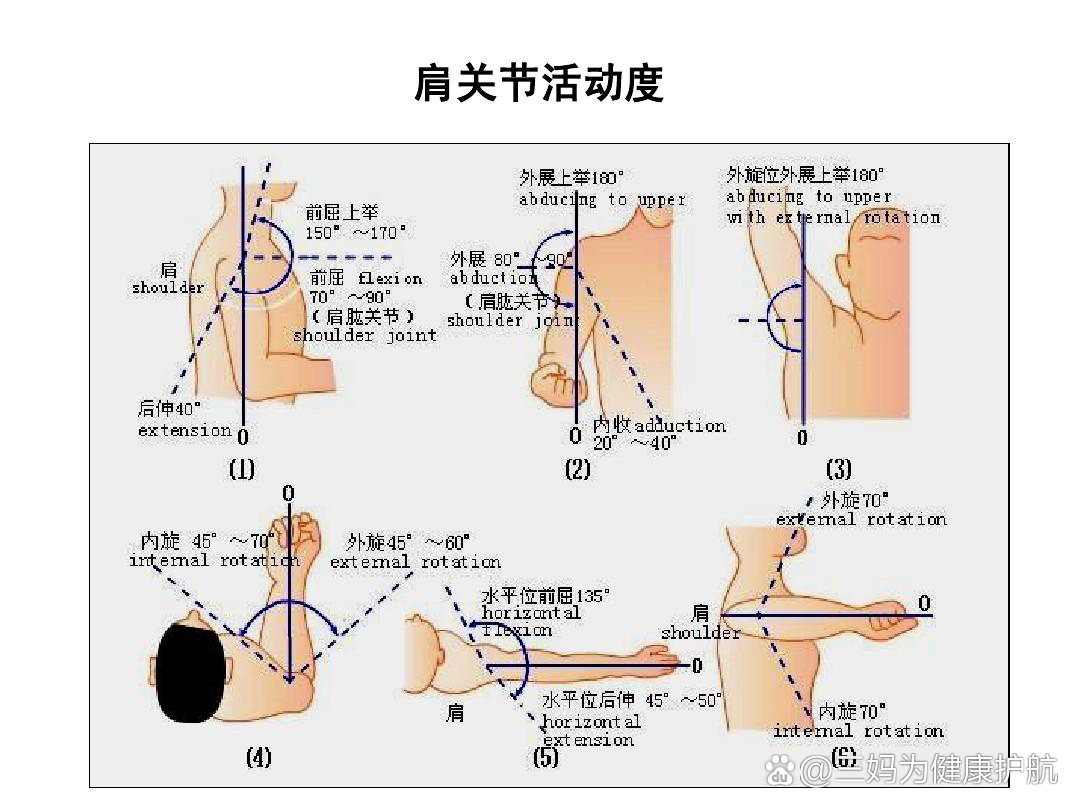 髋关节前屈示意图图片