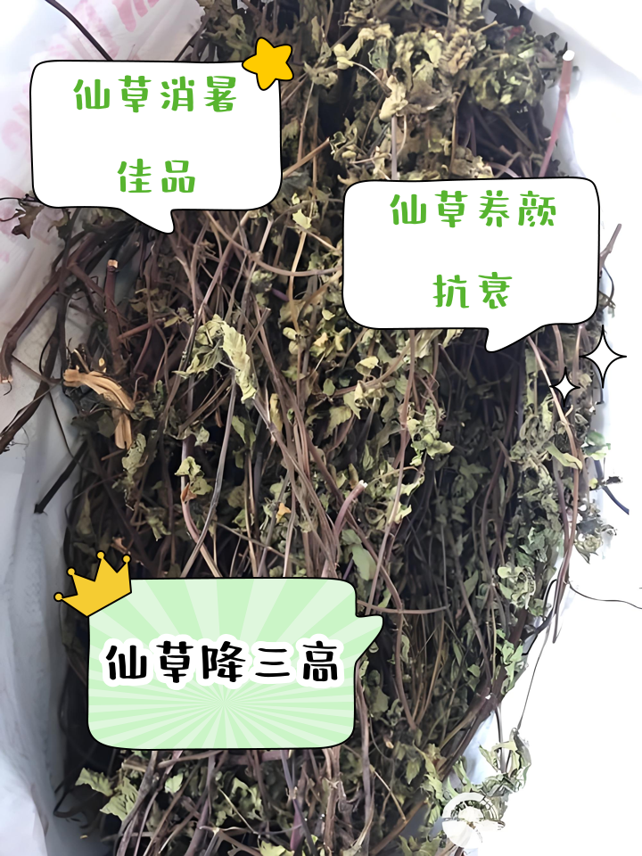 仙草干的功效与作用