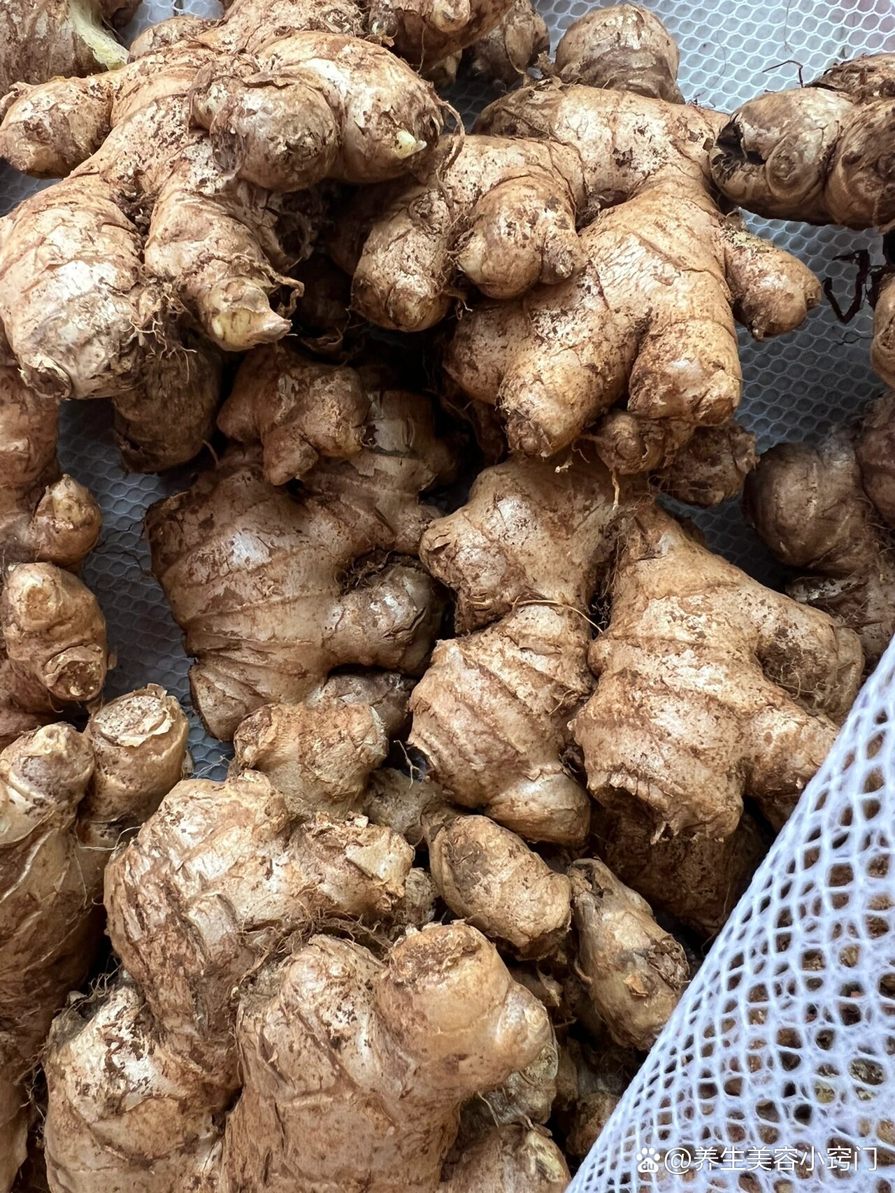 九蒸九晒纯姜粉