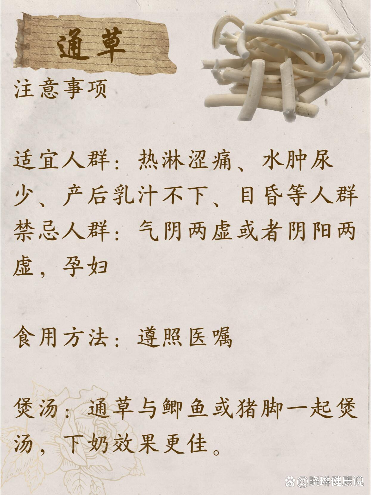 每天认识一味中药——通草