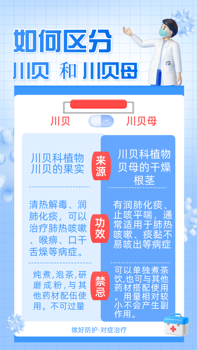 一文教你识别川贝和川贝母的真正差别