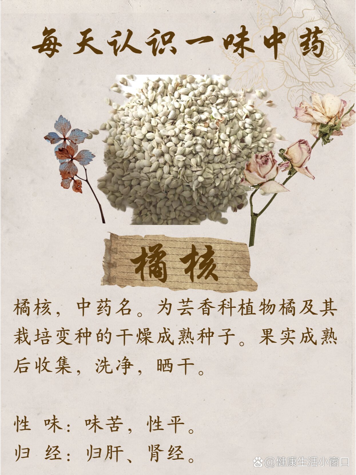 每天认识一味中药
