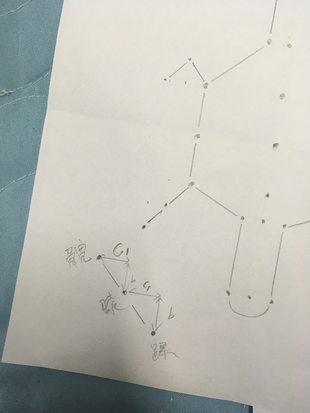 腹针—神龟图升级版