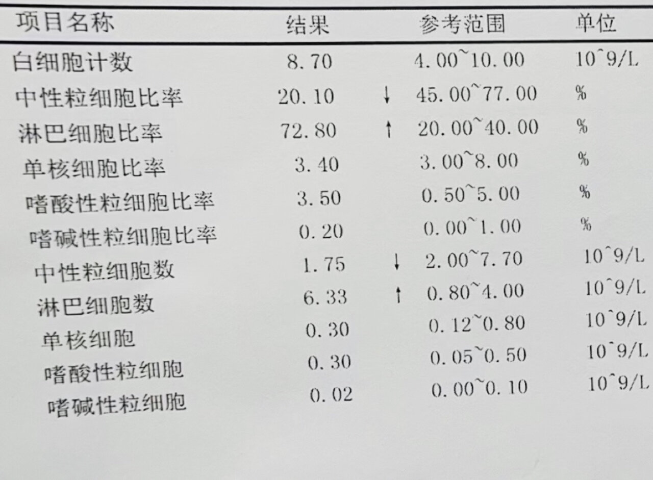 儿童血常规化验单图片图片