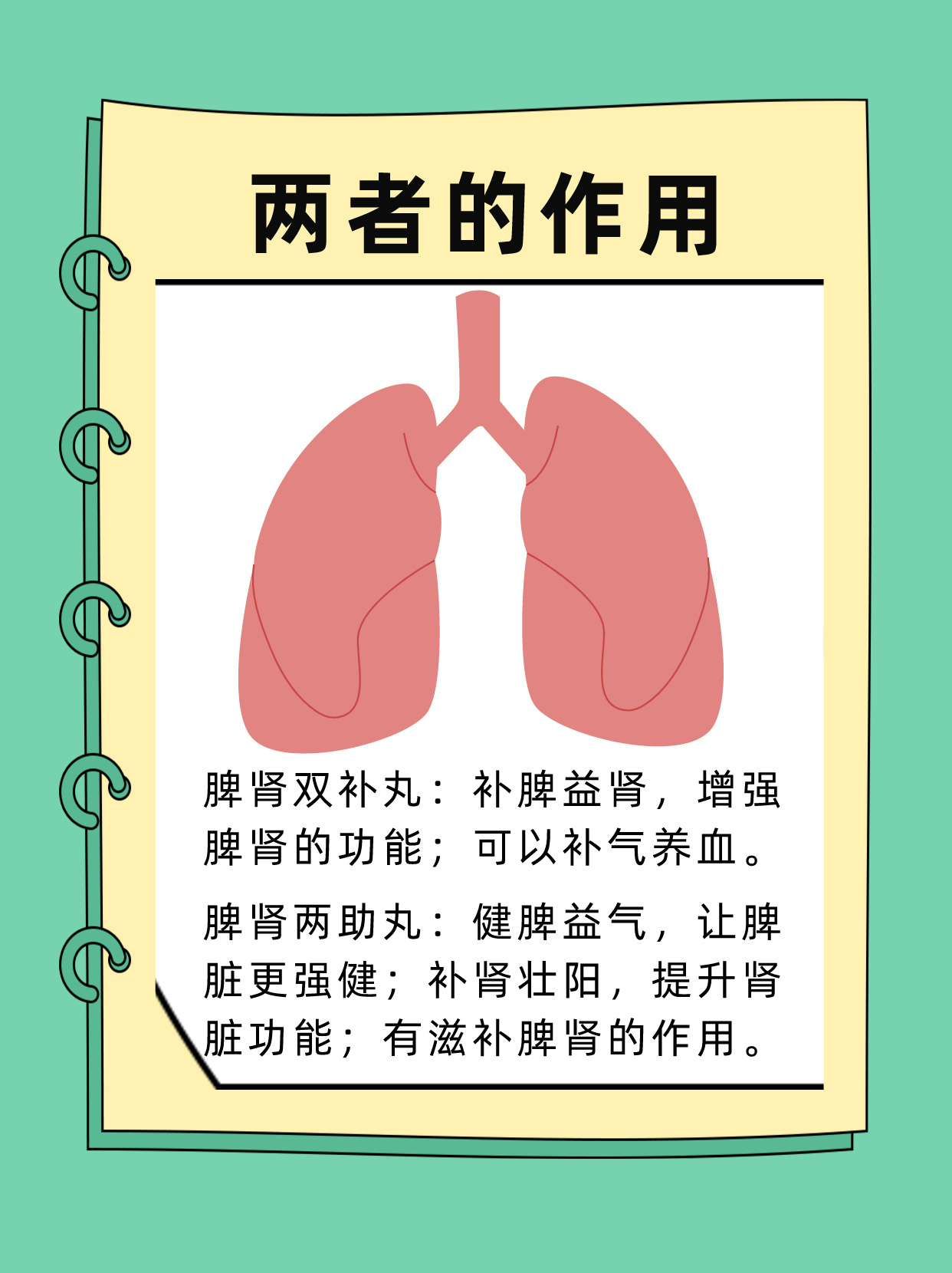 脾肾双补丸适用人群图片