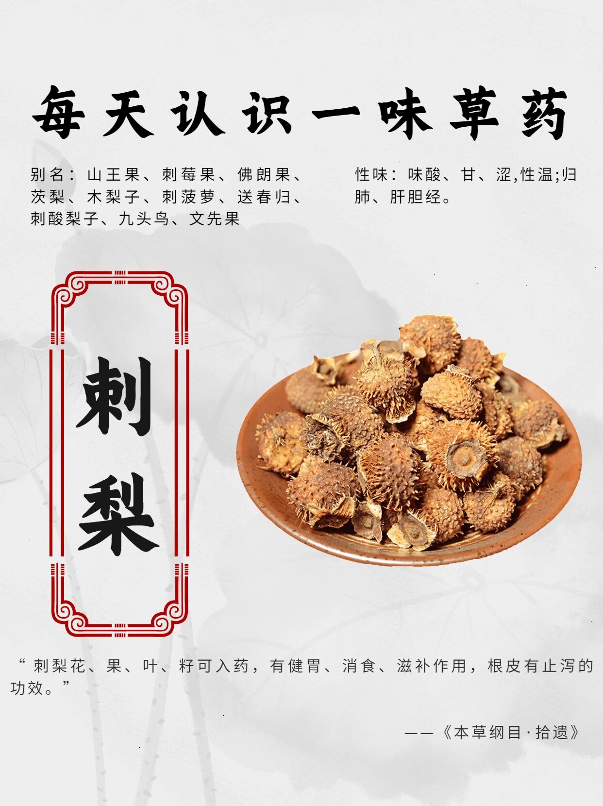 每天认识一味药