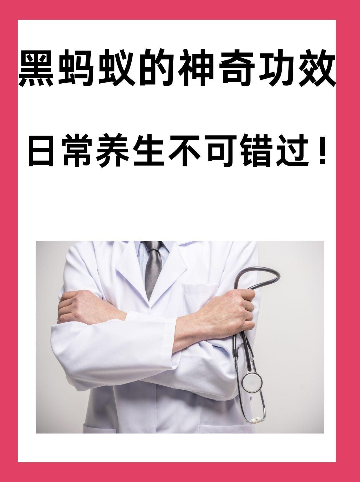 黑蚂蚁的功效与作用图片