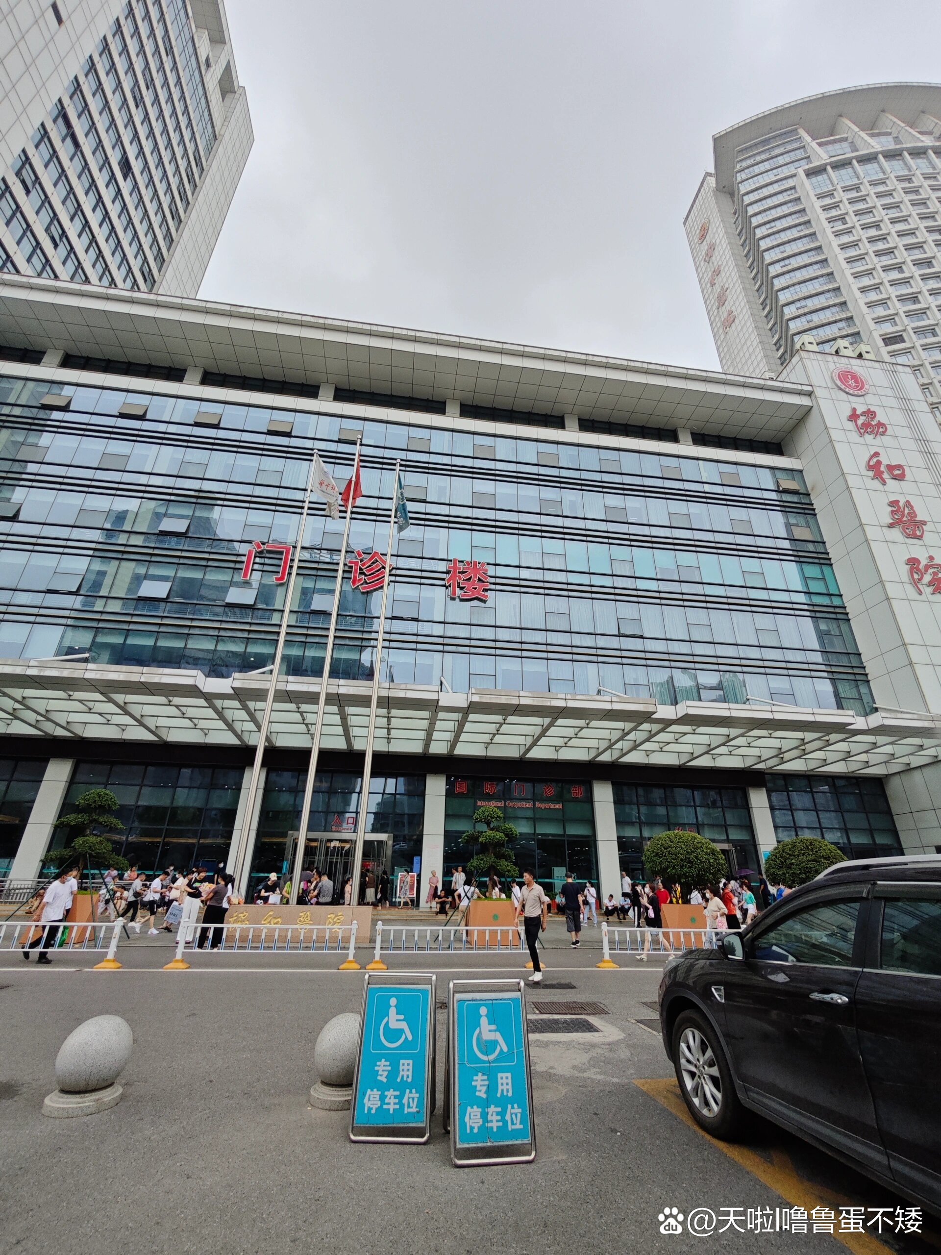 關于北京協和醫院、掛號聯系方式_專家號簡單拿精神心理科的信息