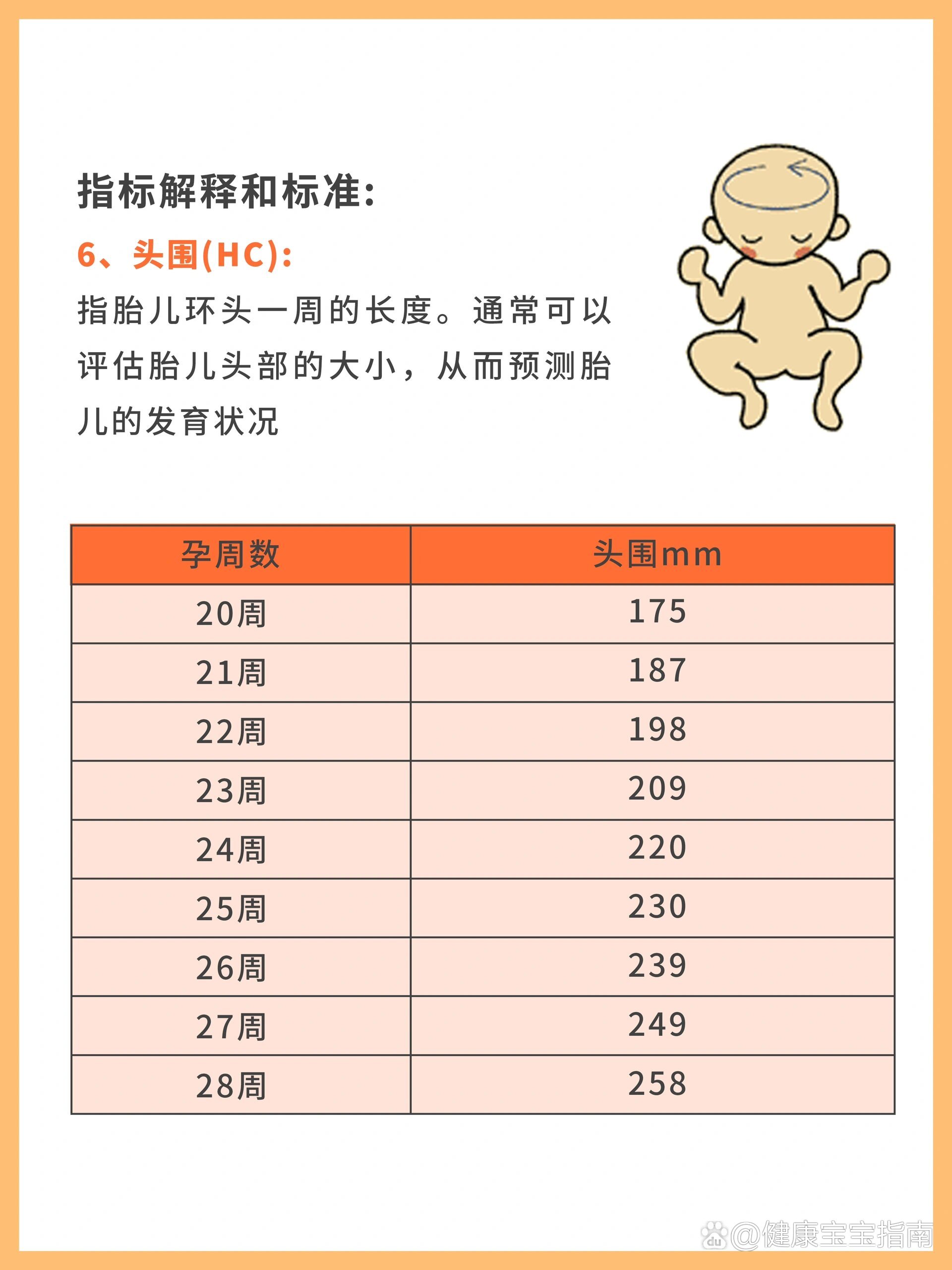四维彩超数据怎么看71详细数据解读 孕检攻略