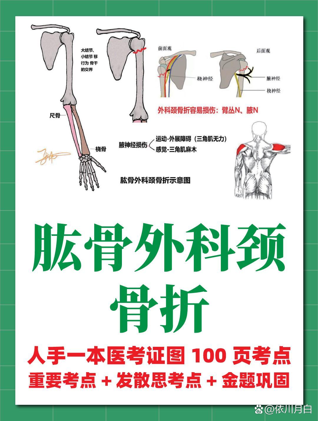 24临床执医