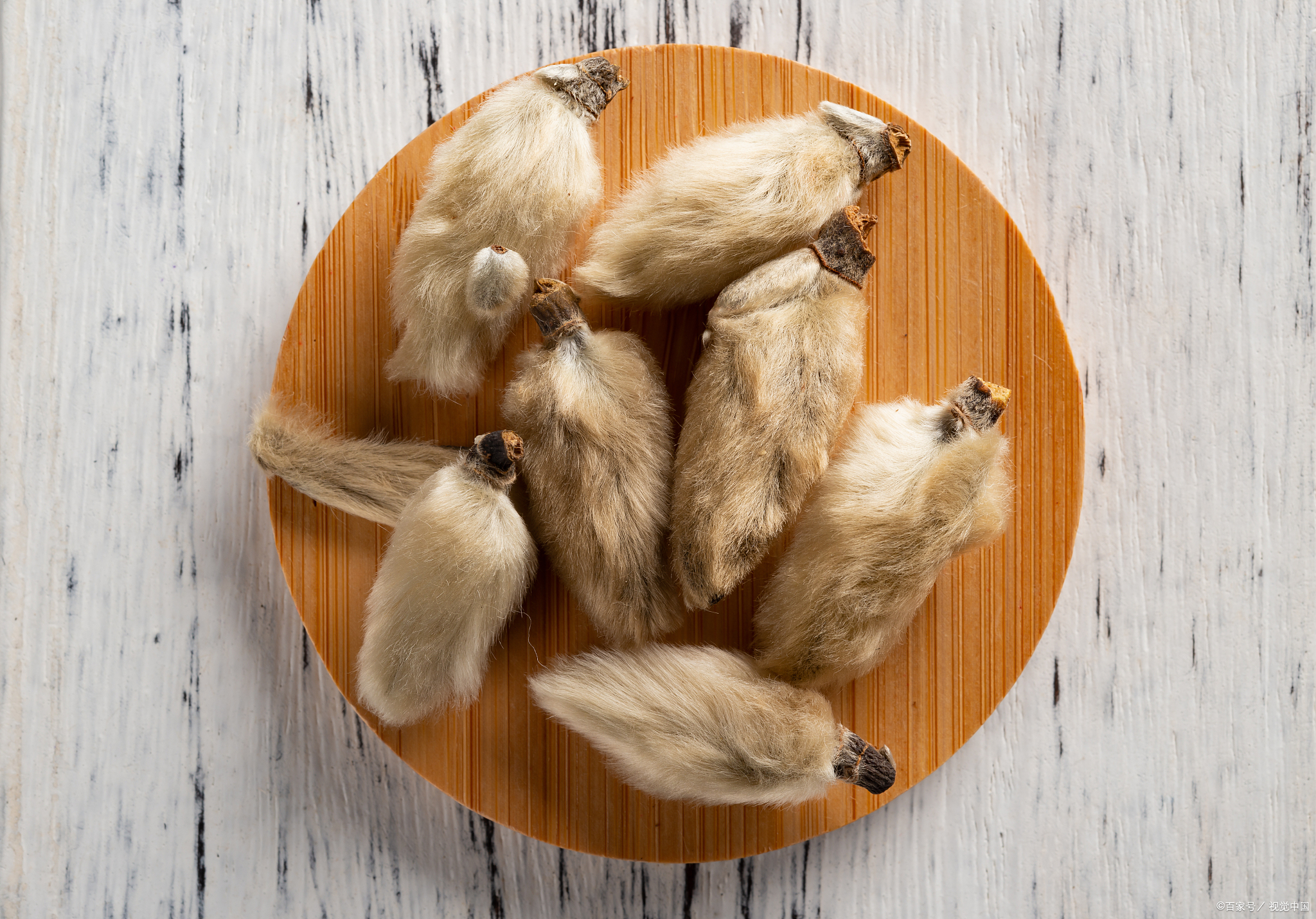 鼻炎,不要动不动就用苍耳子,辛夷花