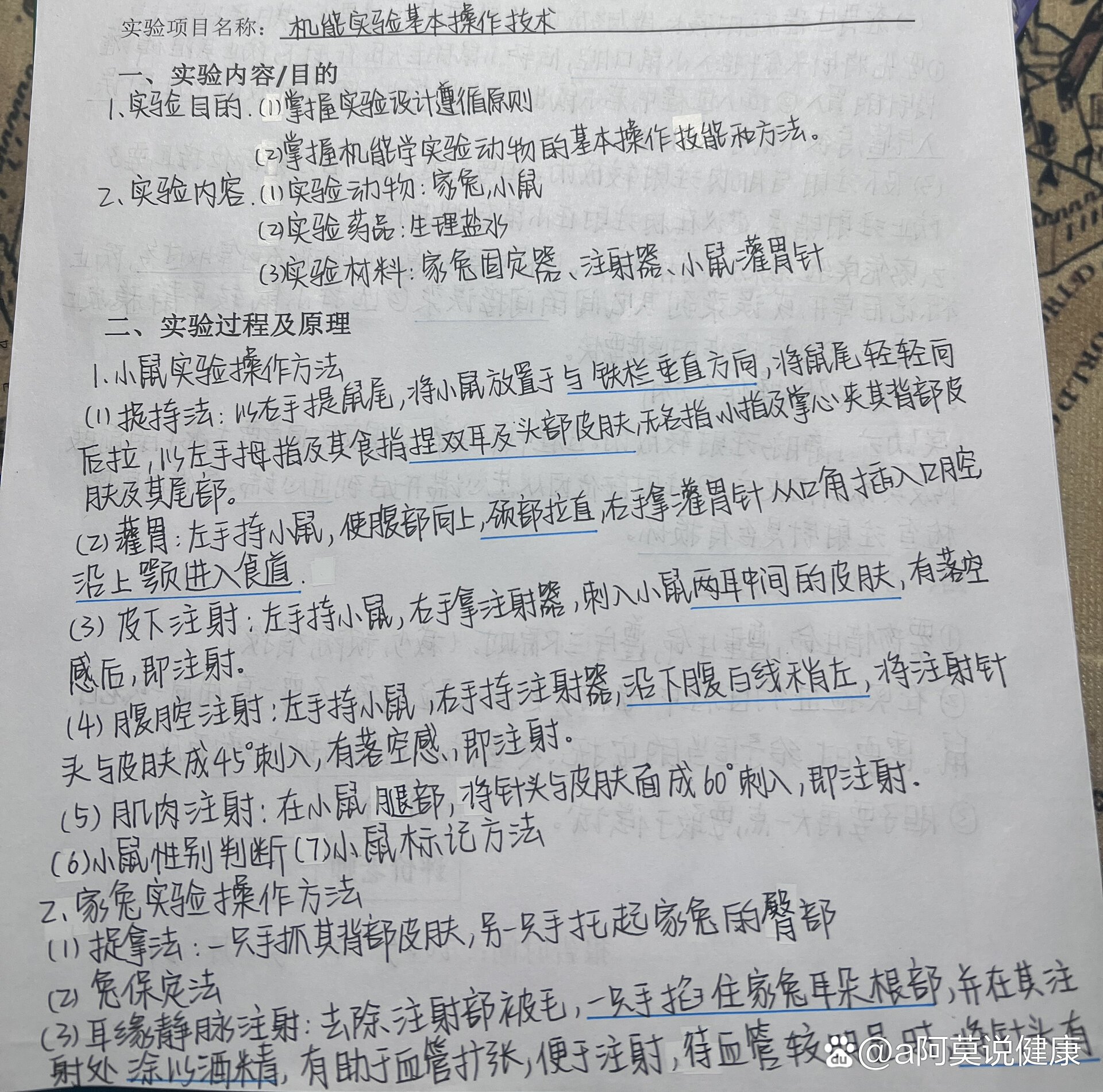 机能学实验报告/小鼠抓取/家兔耳缘静脉注射