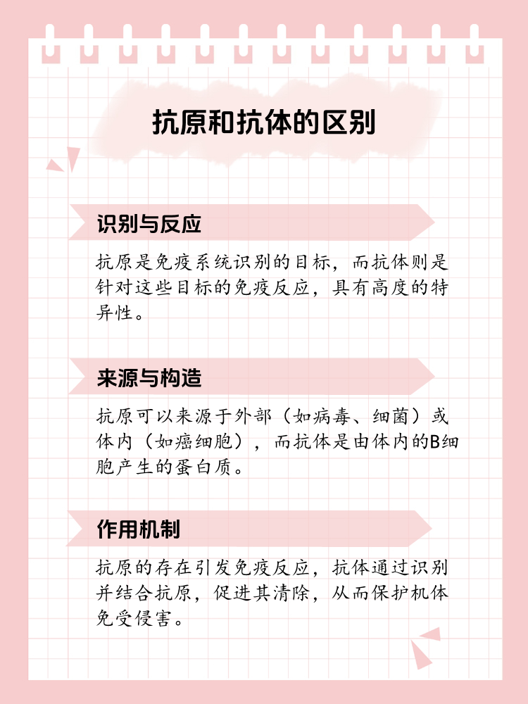抗原与抗体的区别:一文看懂