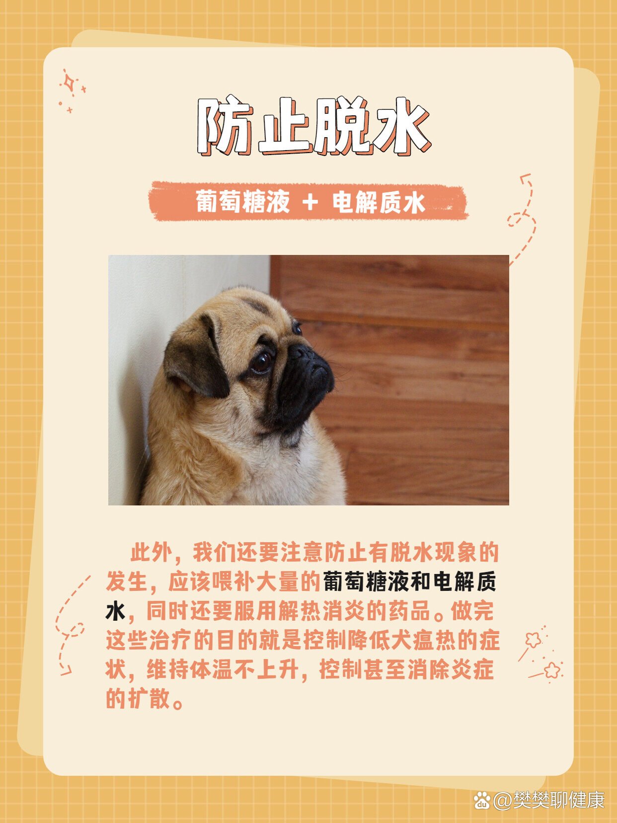 犬瘟热怎么治71