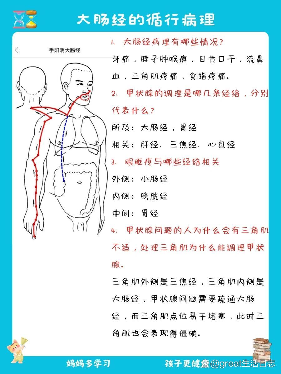 大肠经络图位置清晰图图片