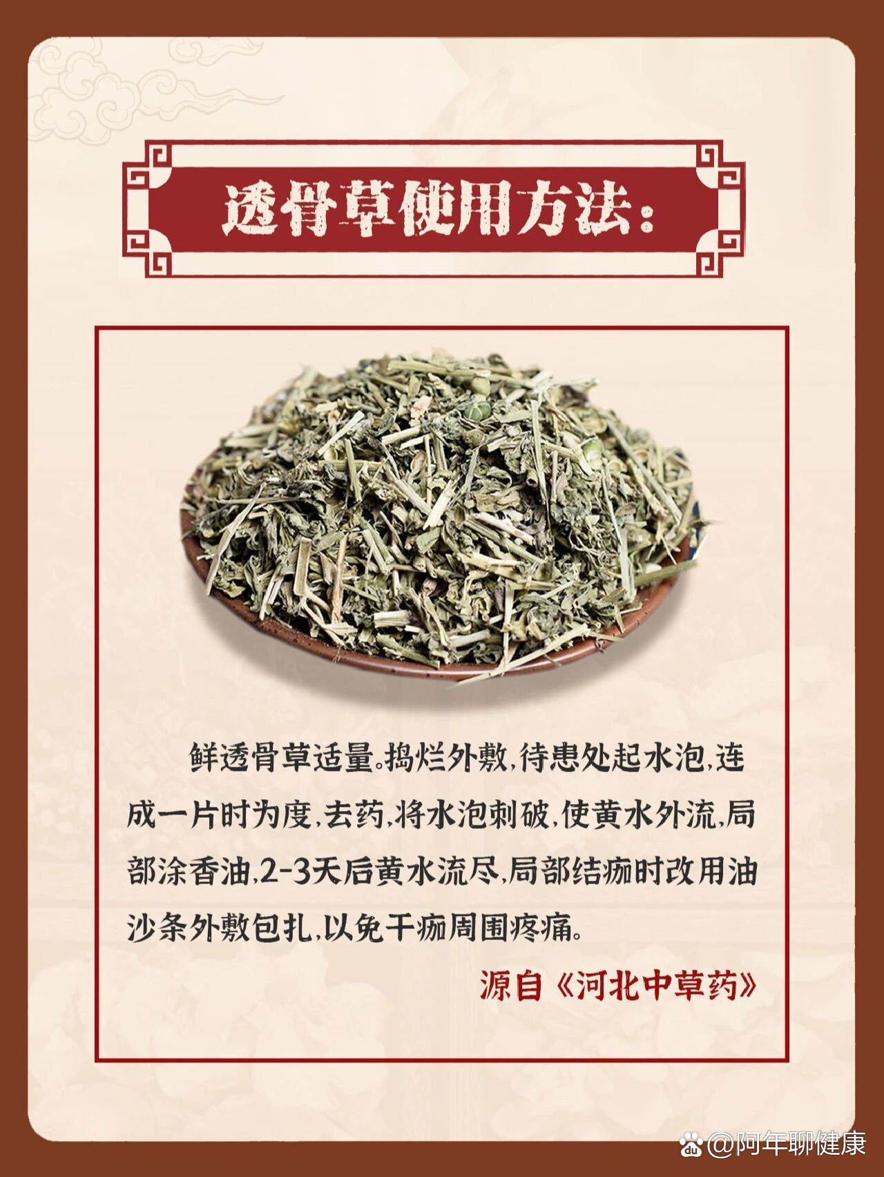 痛骨草的功效与图片图片