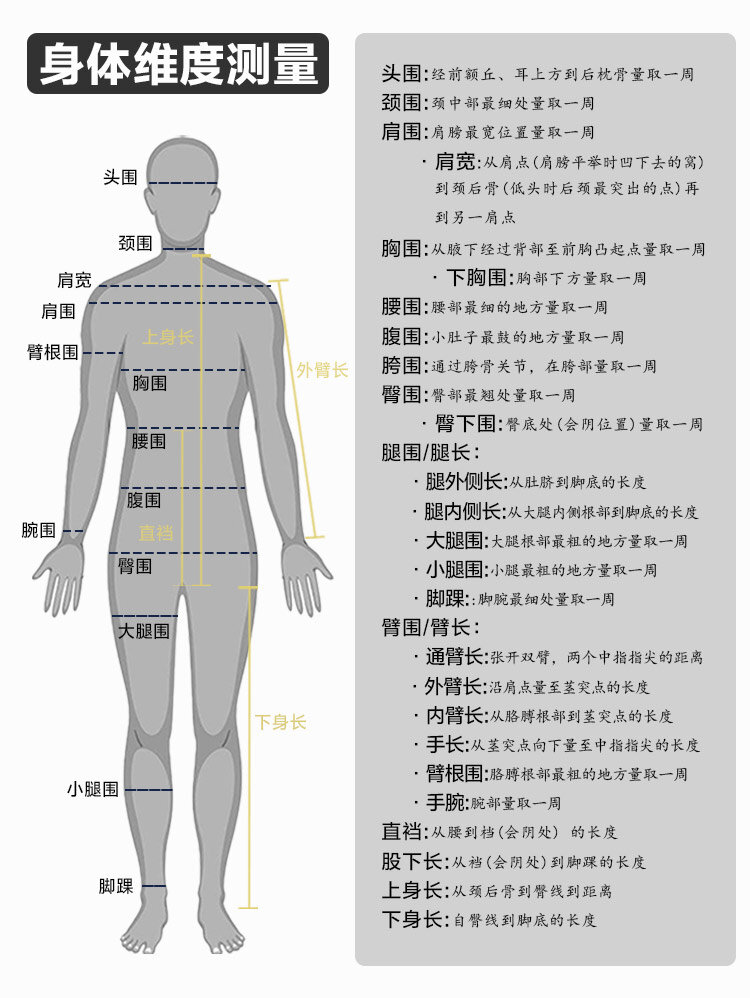 人体测量示意图图片