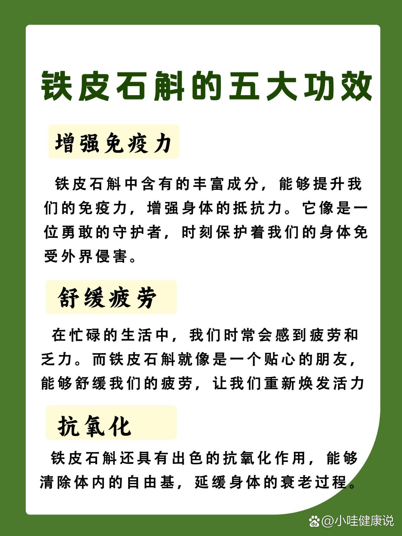 铁皮石斛的五大神奇功效与作用