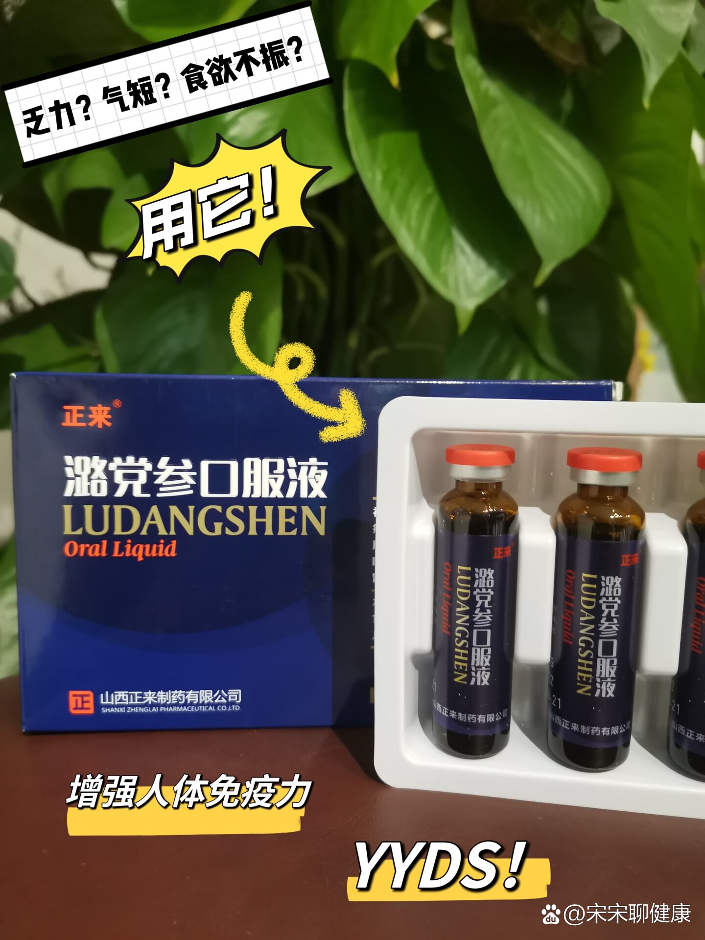 补气血‖我选潞党参口服液