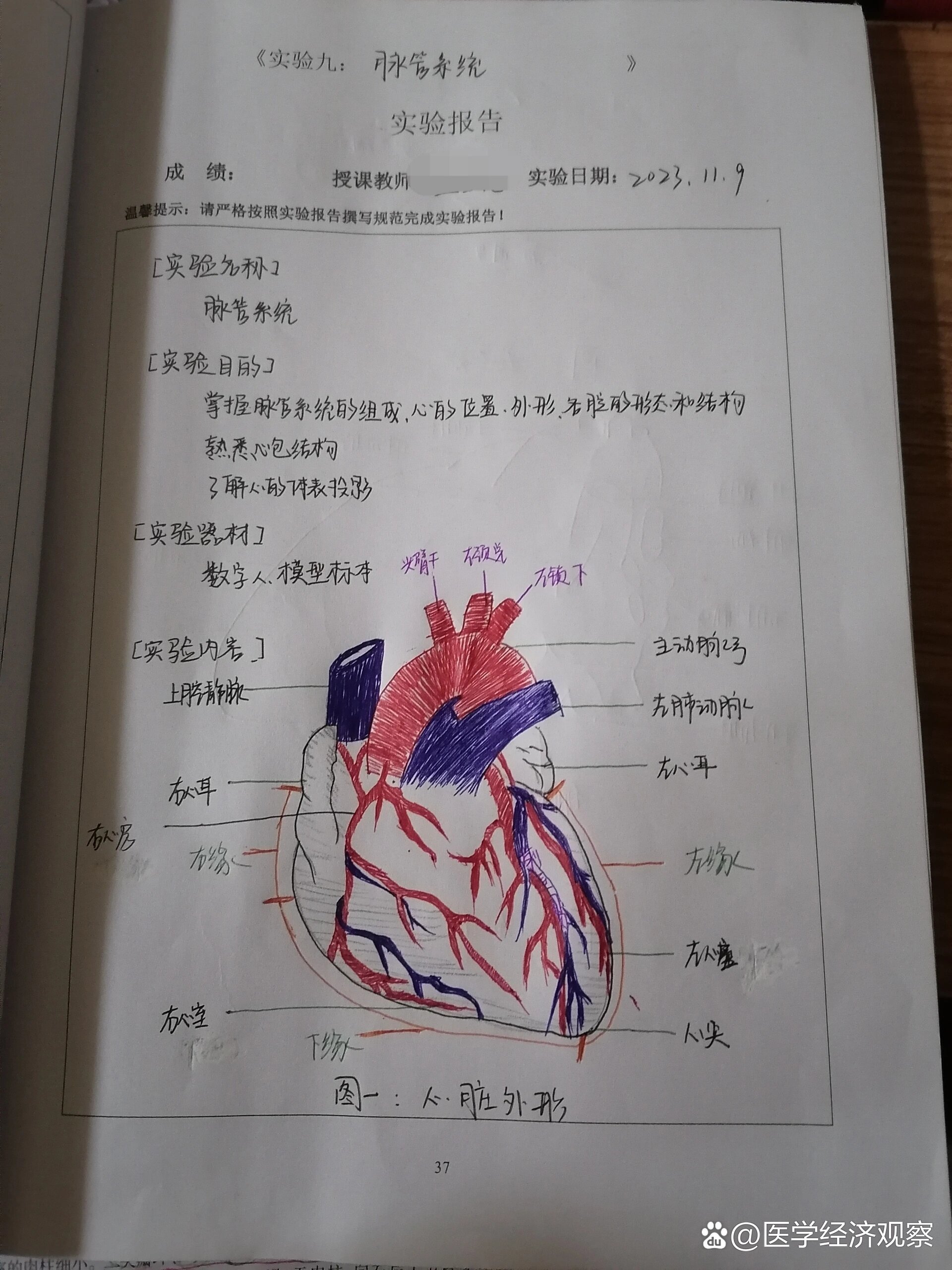 实验报告画图图片