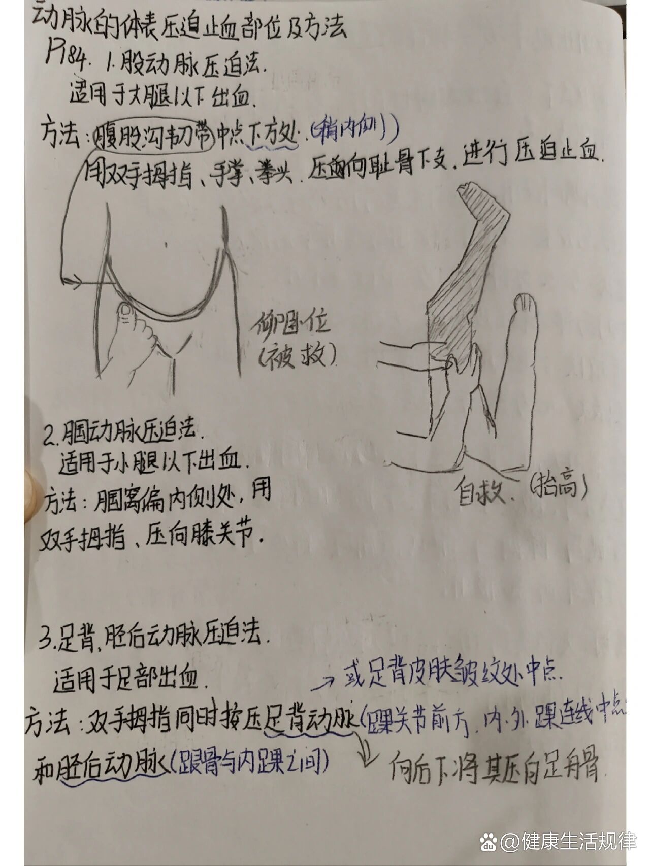 颌动脉止血法图片图片