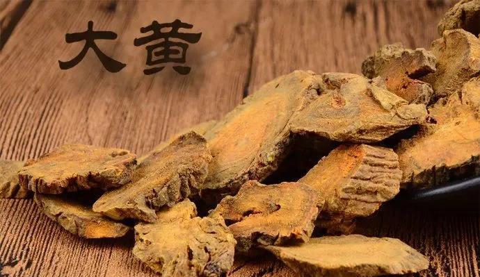 中药大黄：三种常见种类及功效