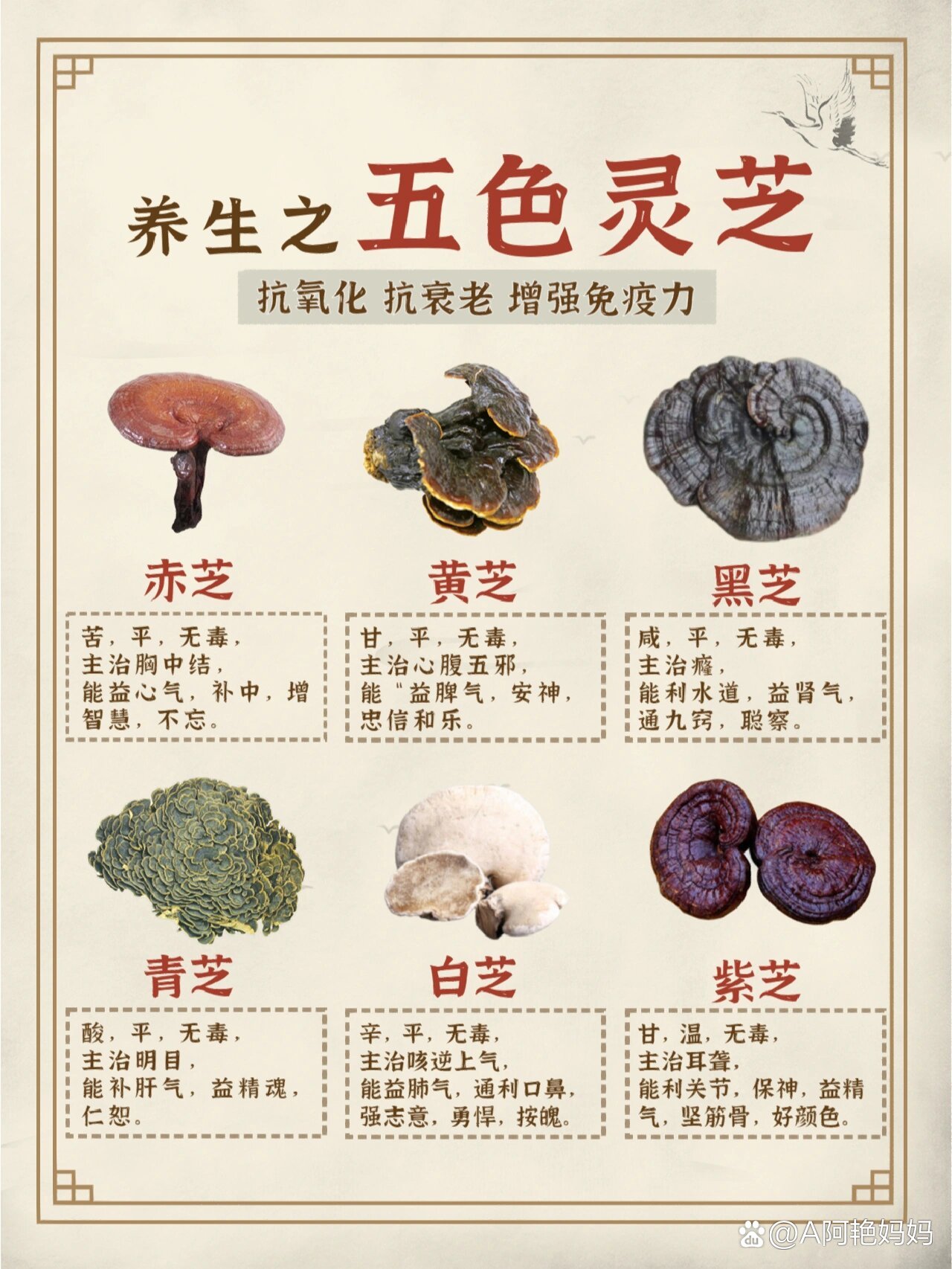  br>94灵芝的种类非常的多,根据中医阴阳五行学说,按五色将灵芝分