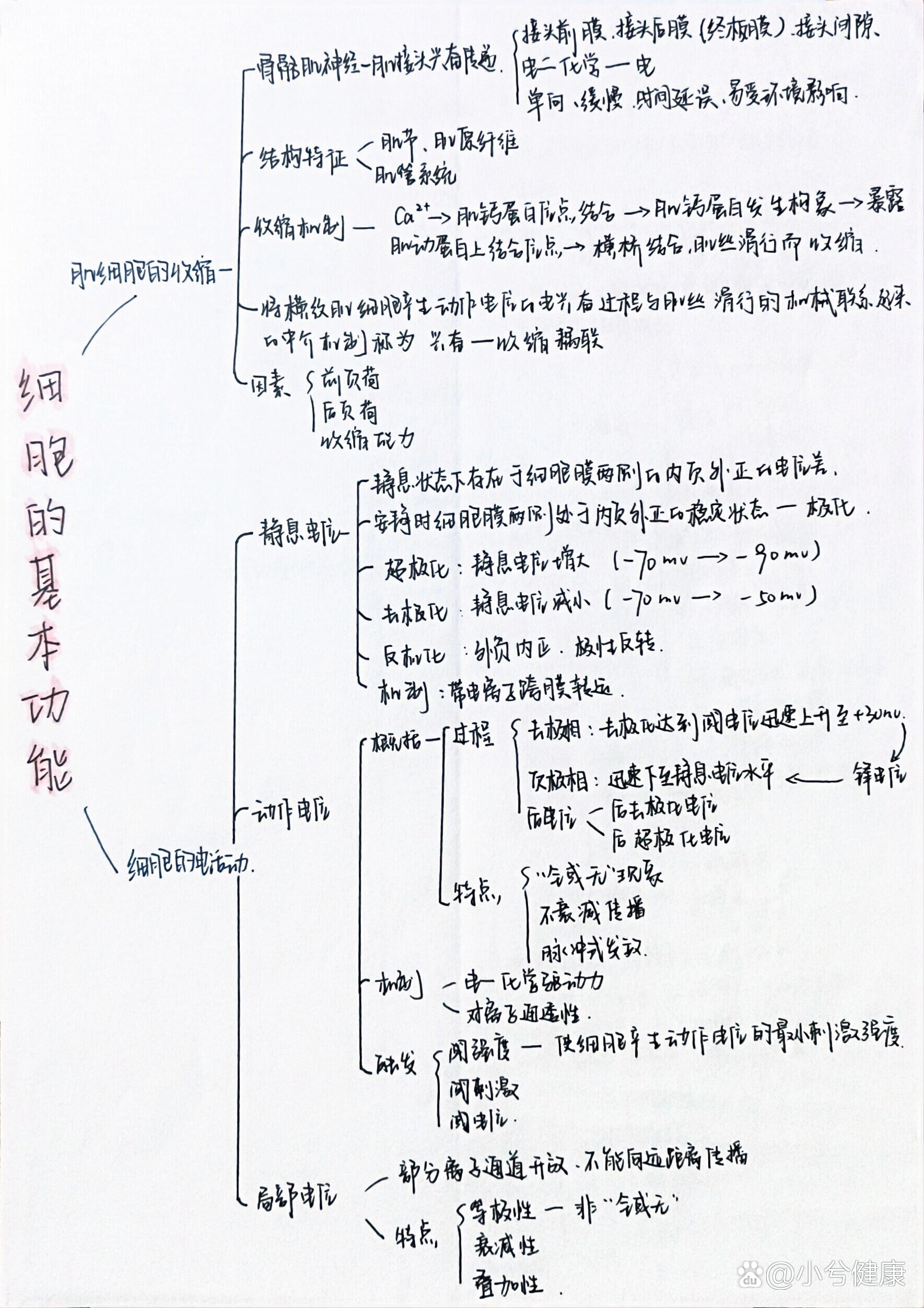 生理学第二章细胞的基本功能思维导图