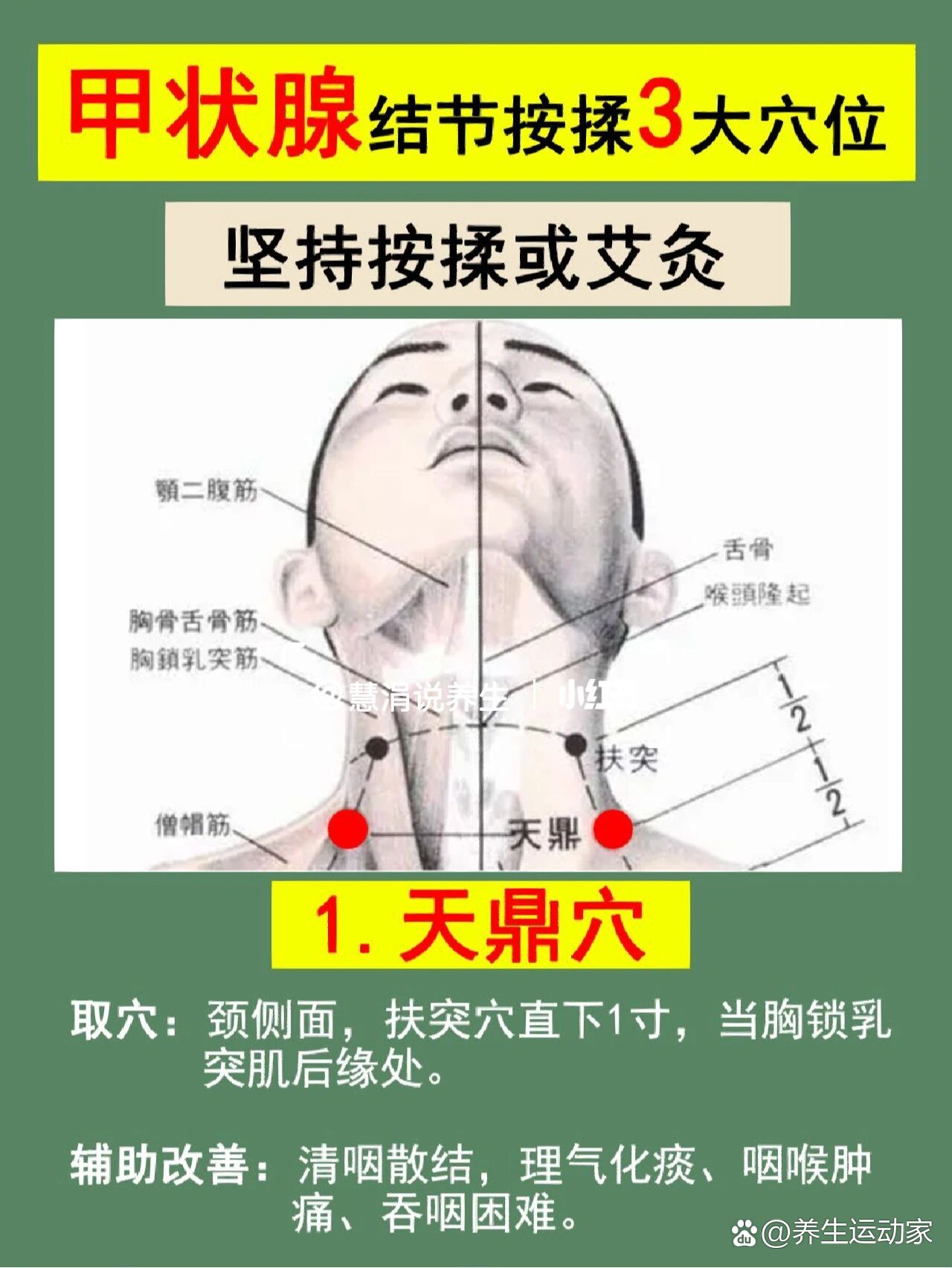 甲状腺结节艾灸位置图图片