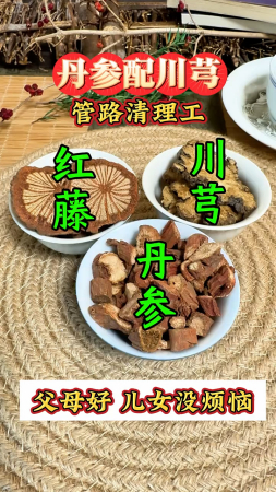 通脉饮丹参葛根川芎图片