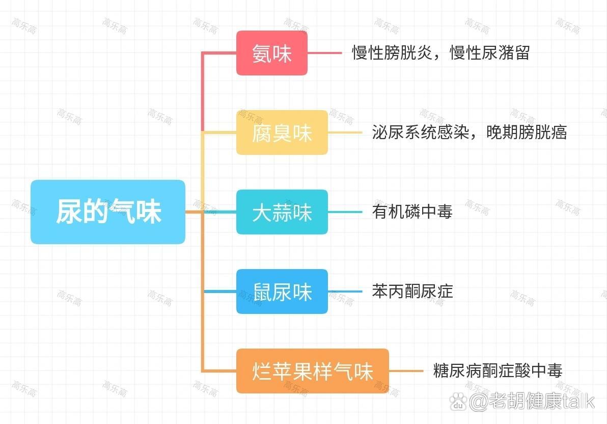 尿的气味提示病图片