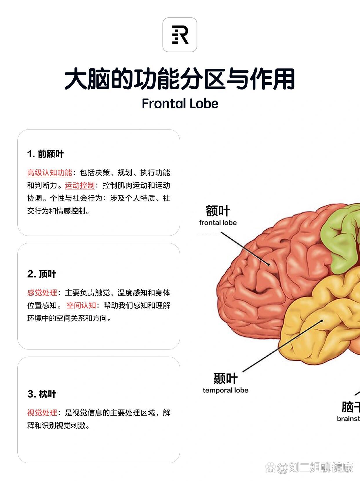 脑科学:认识它才能开发它