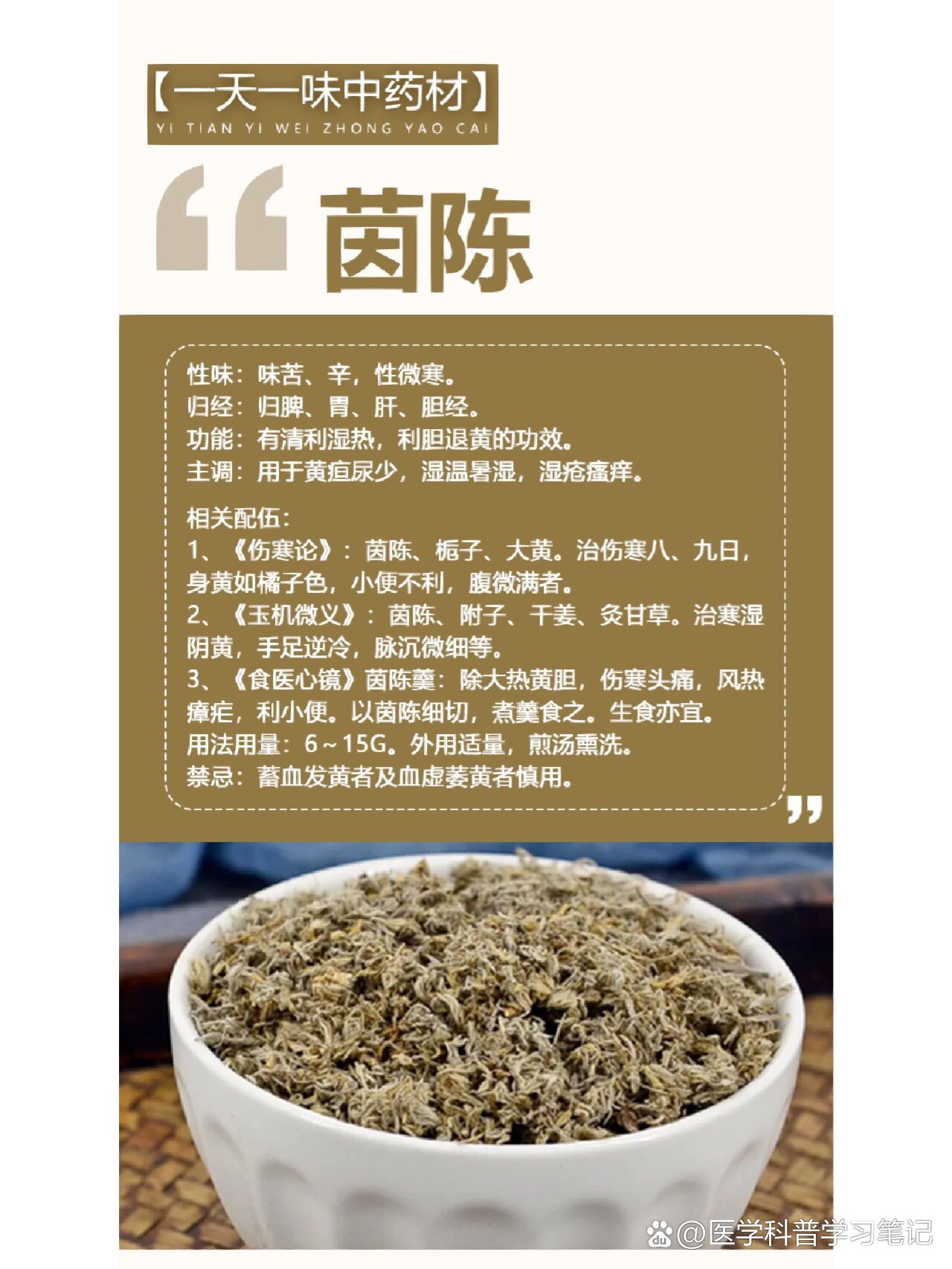 茵陈草药主治功能图片