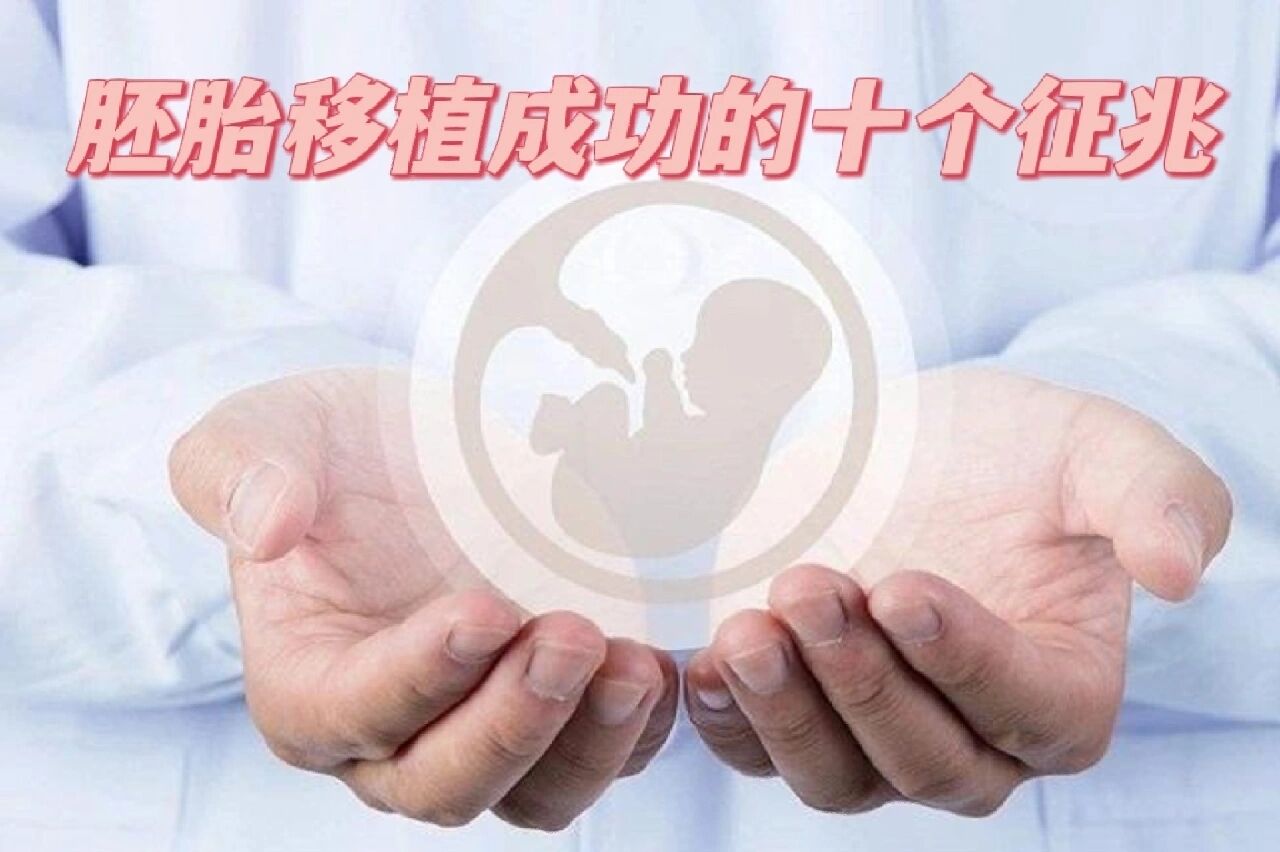 胚胎移植成功的标志是什么(胚胎移植成功的标志是什么意思)