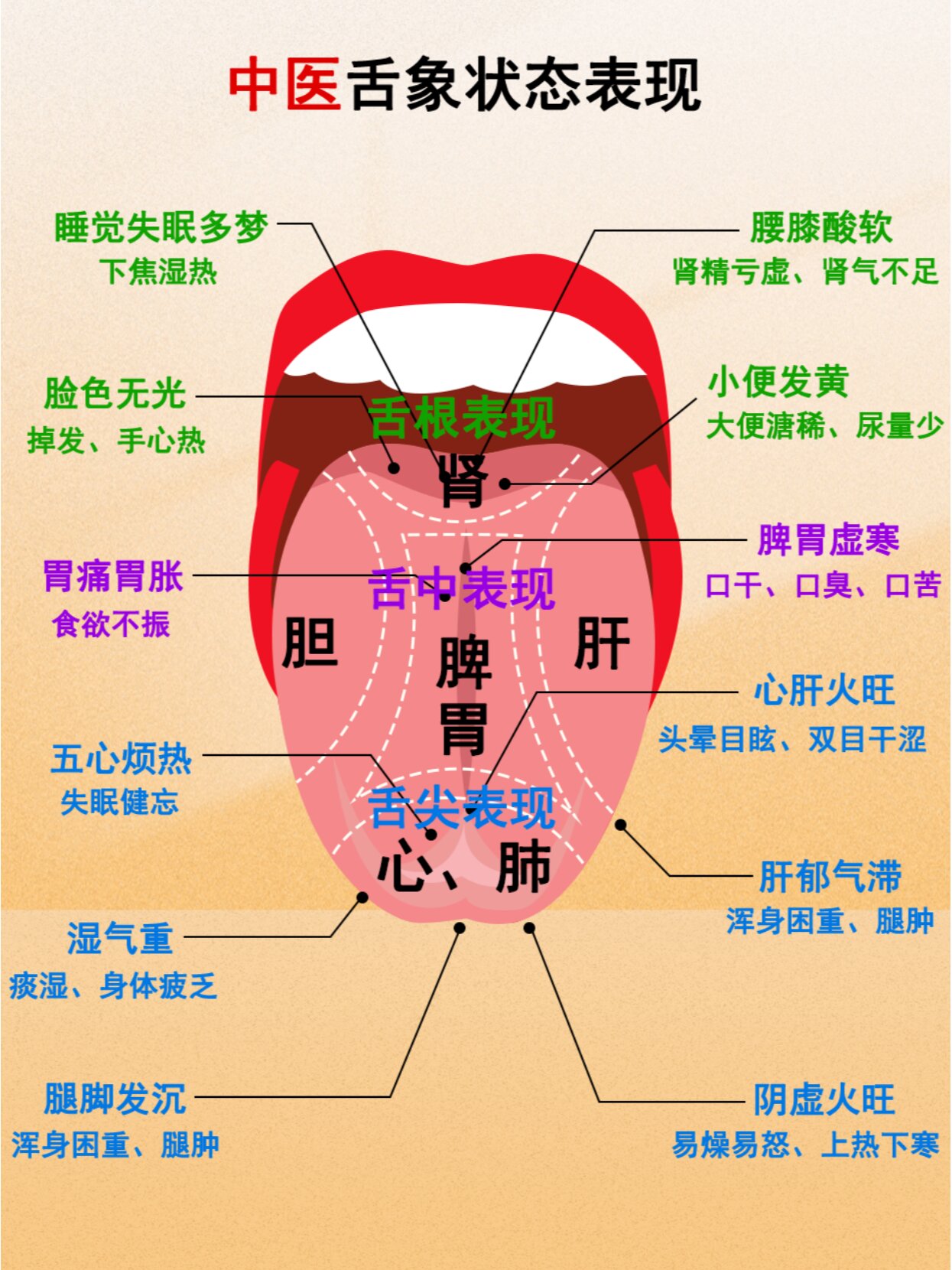 中医舌诊知识图示