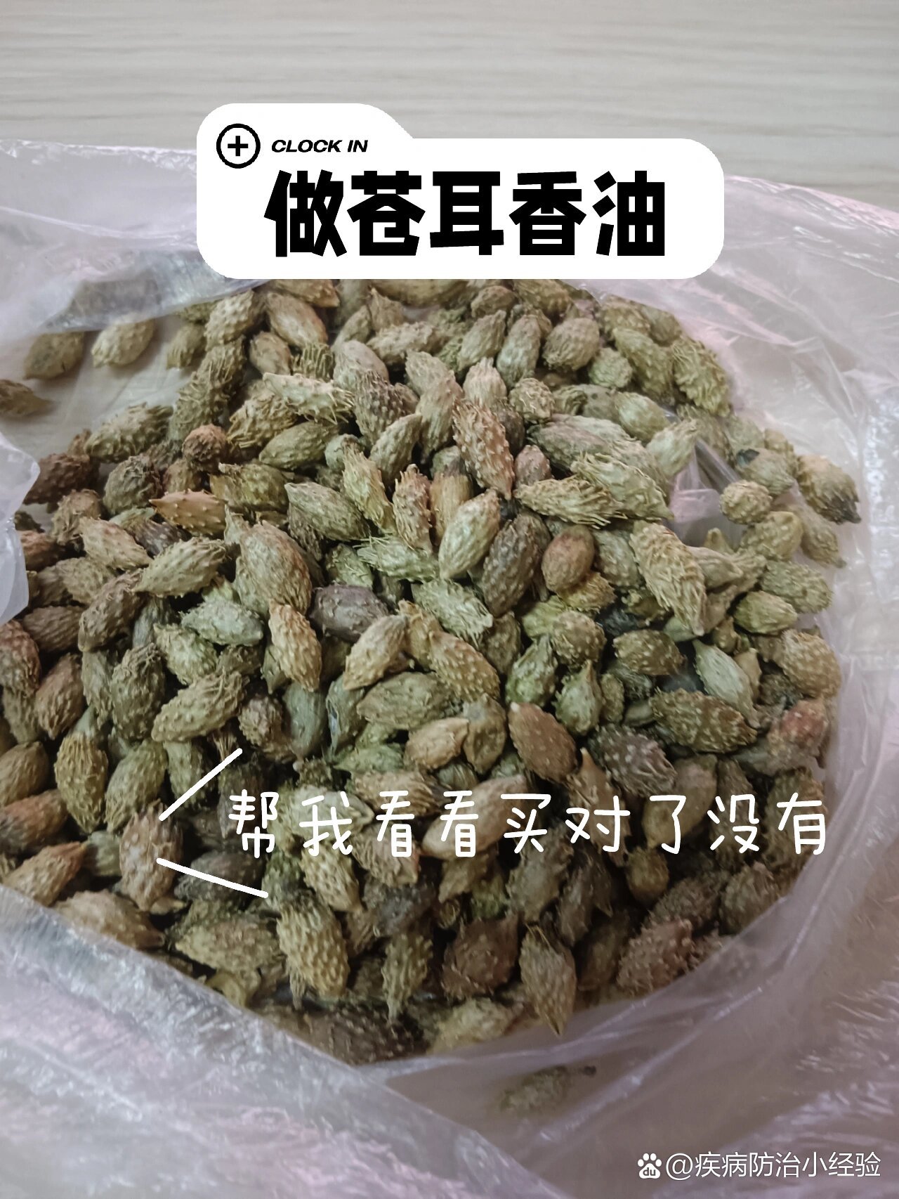 苍耳治风湿秘方图片