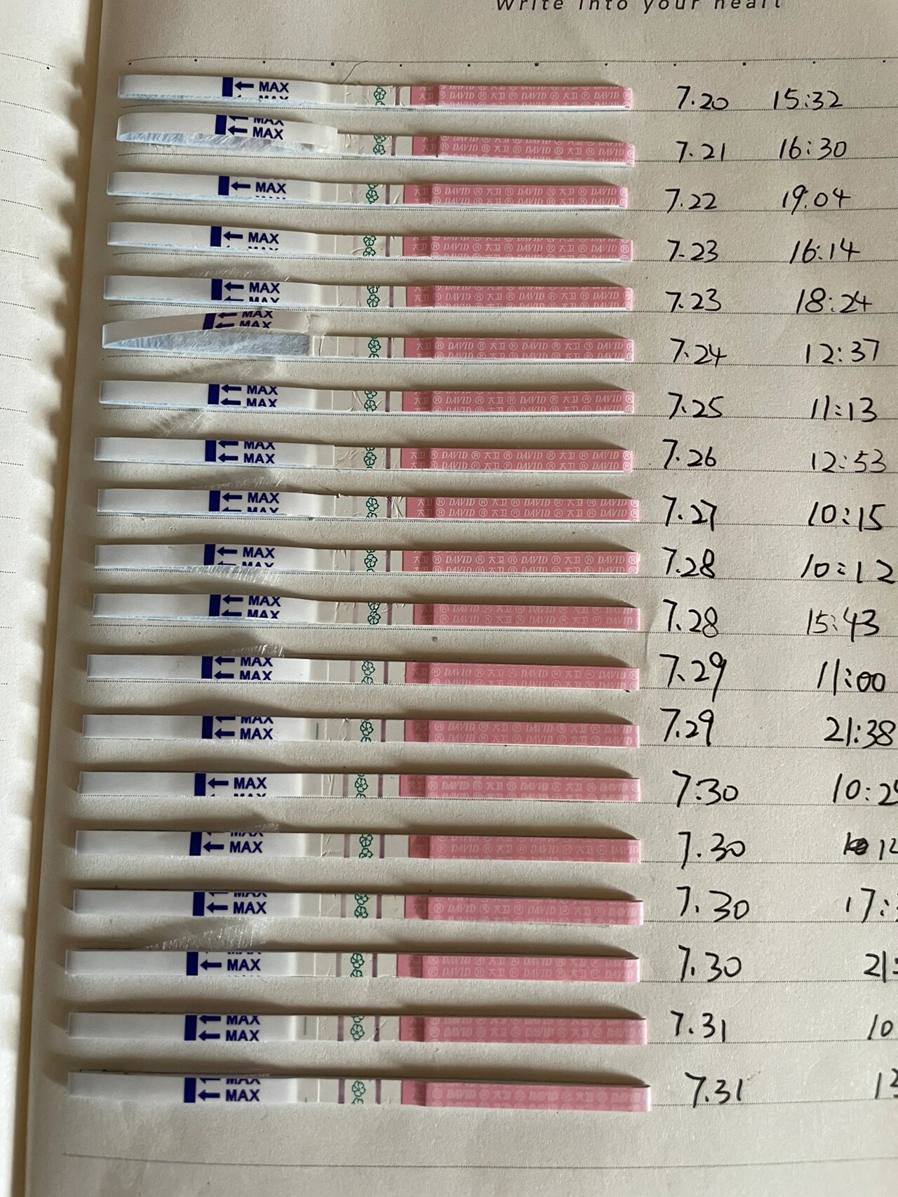 排卵强阳第一次测排卵试纸,二十二天,才终于测到强阳