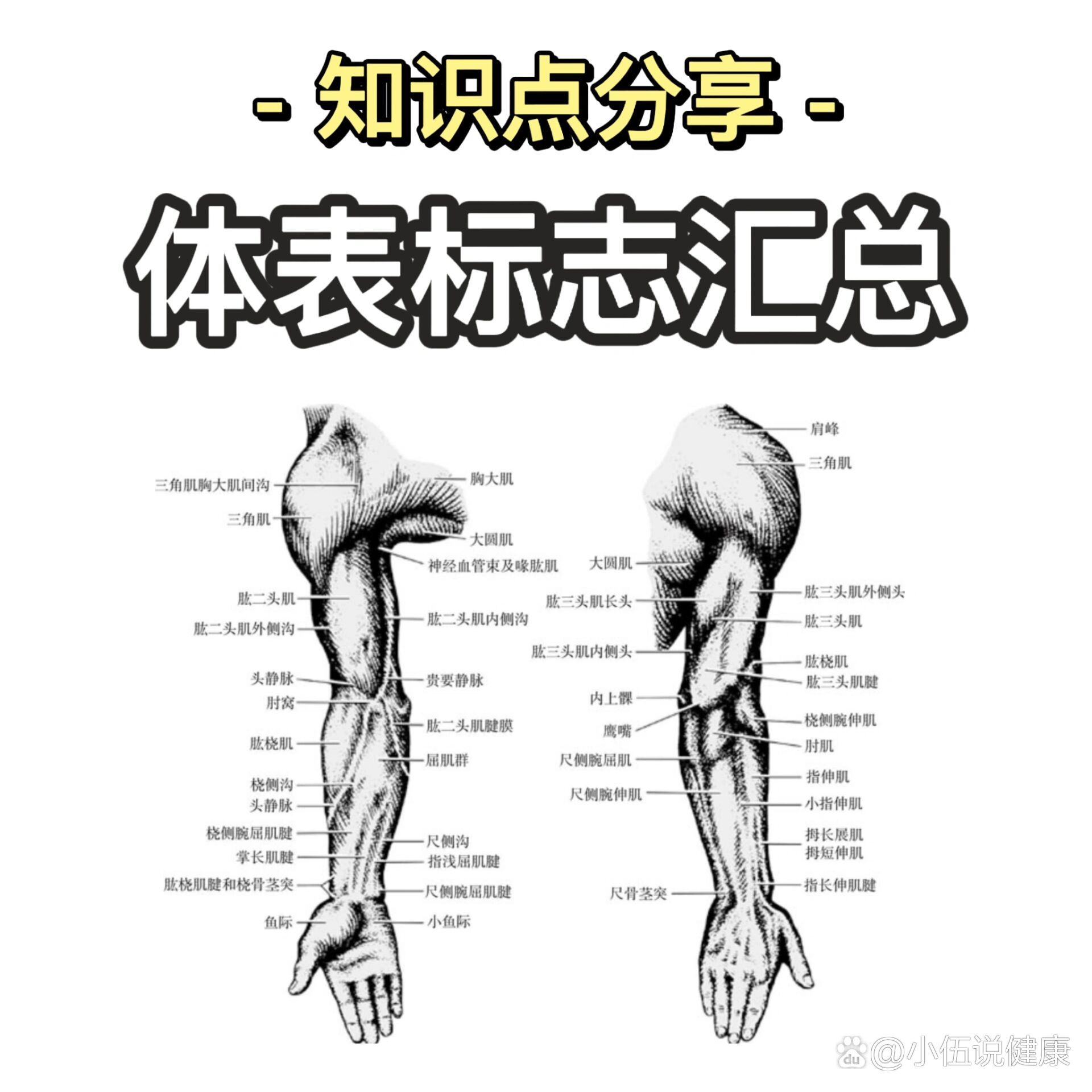 体表标记图片