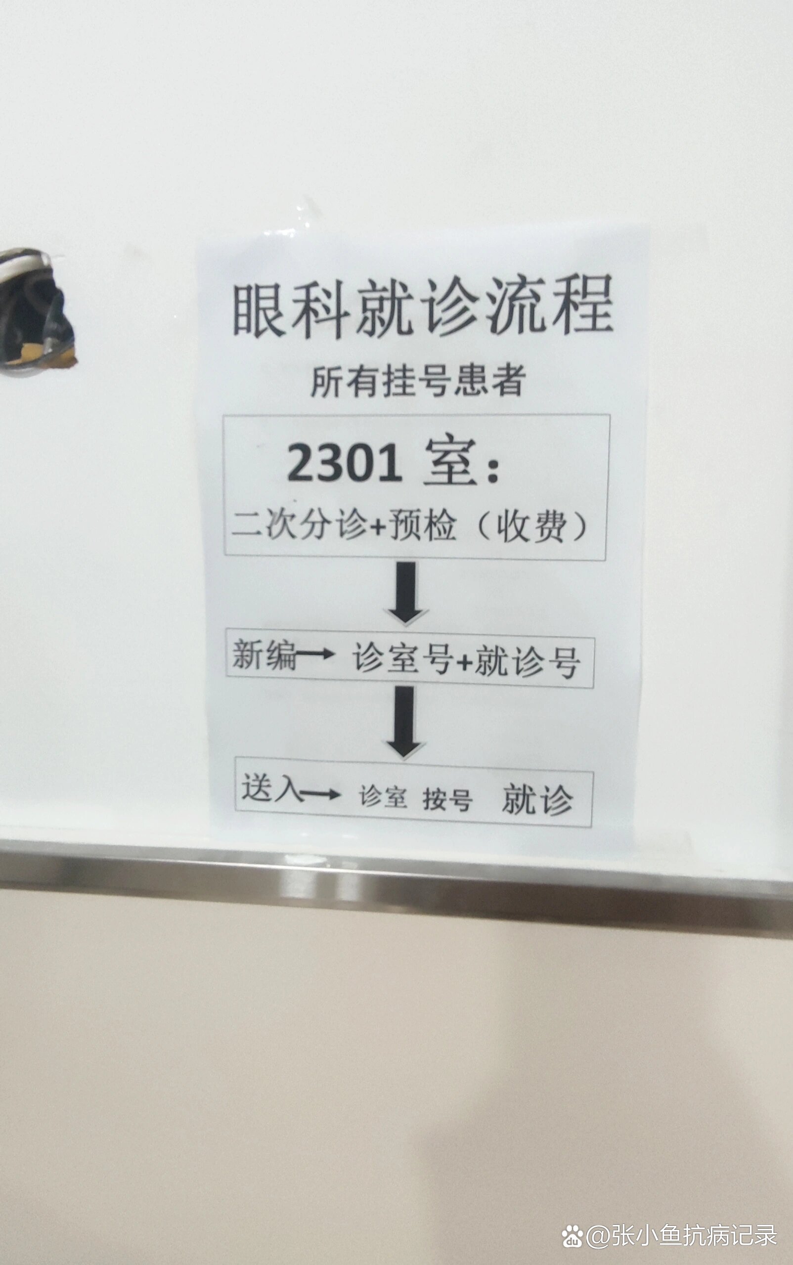中国中医科学院眼科医院预约挂号陪诊一体缓解就医焦虑的简单介绍