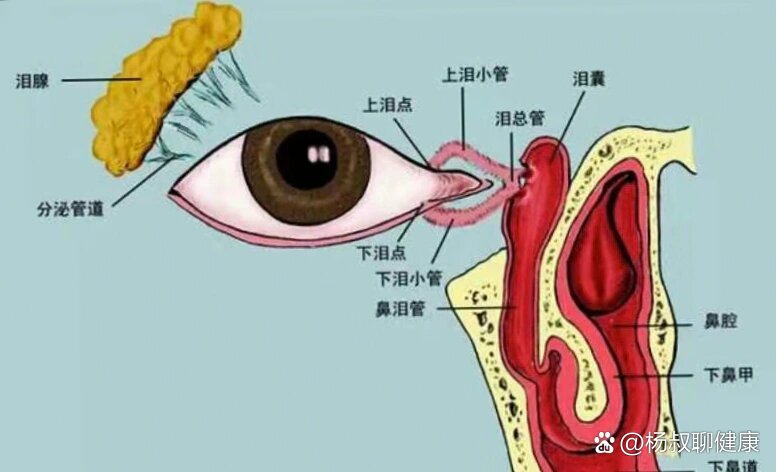 泪管堵塞按摩图图片