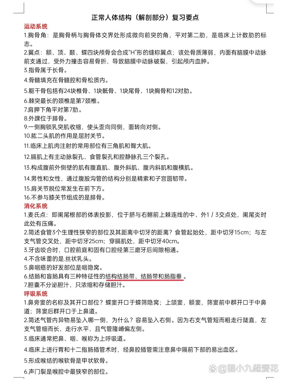结肠带,结肠袋,肠脂垂
