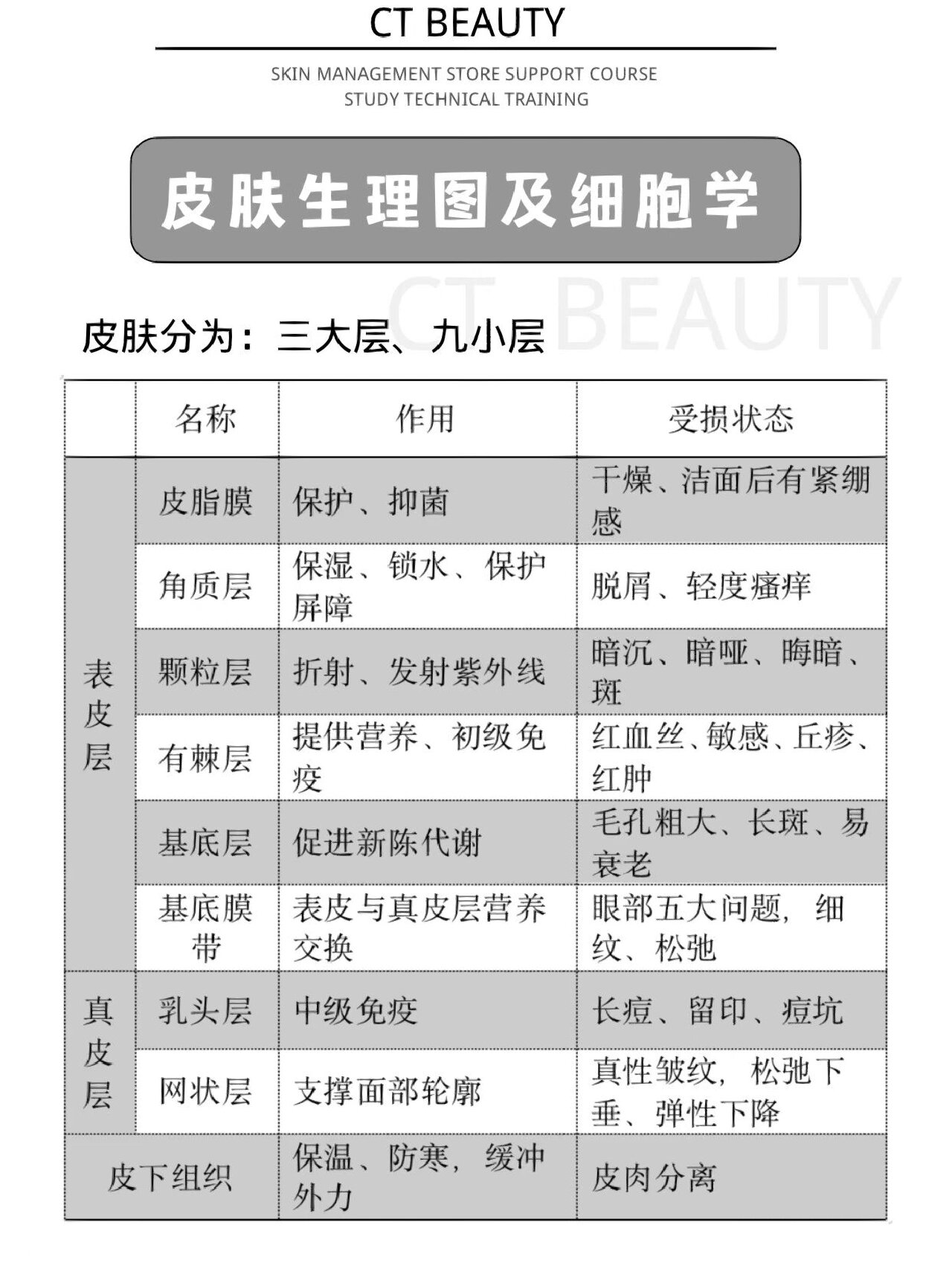 皮肤生理构造图及作用!