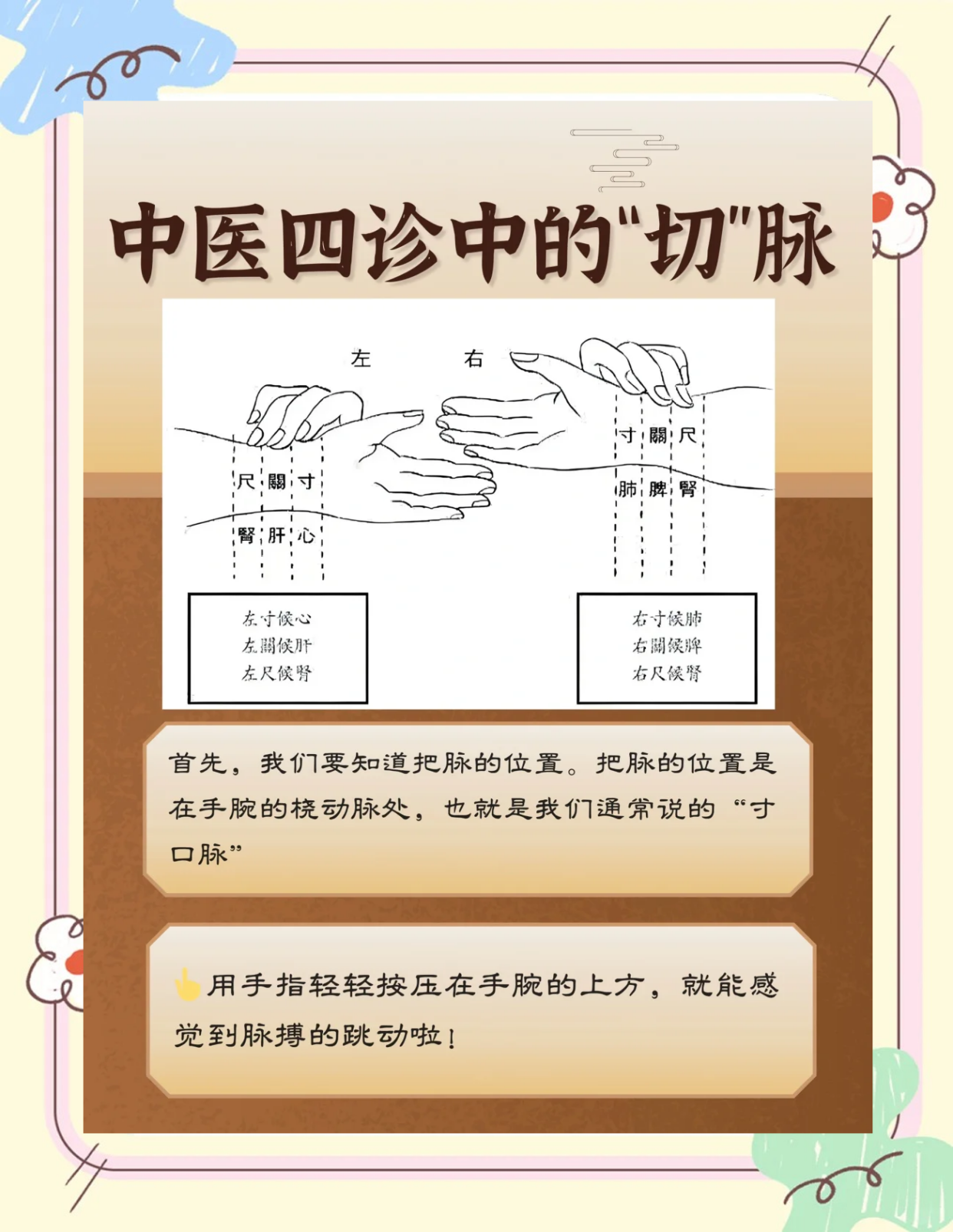 📜脉诊入门：从零开始学脉诊💡